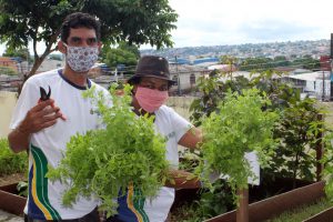 Imagem da notícia - Horta do Centro de Convivência Teonízia Lobo, coordenado pela Seas, fortalece vínculos com a comunidade