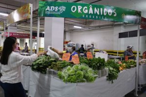 Imagem da notícia - Centro de Convivência da Família da Cidade Nova recebe feira da ADS neste sábado (4)