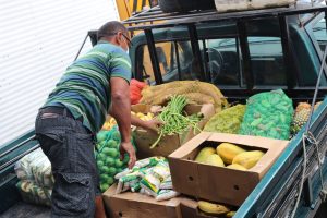 Imagem da notícia - Programa de Regionalização da Merenda Escolar beneficia agricultura familiar no Amazonas