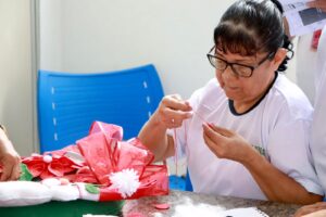 Imagem da notícia - Mulheres aprendem arte de fazer e comercializar produtos natalinos